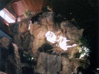 photos 2000-200901475